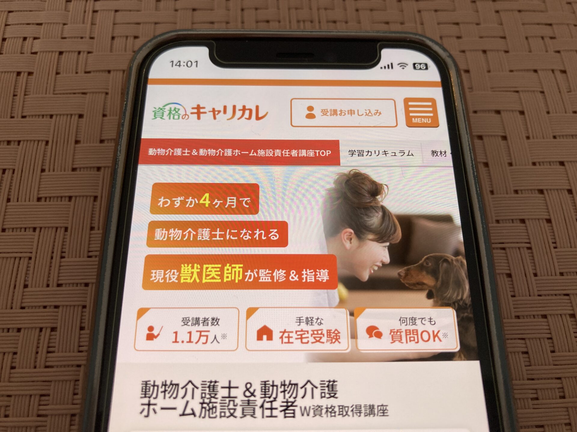 キャリカレ 動物介護士&動物介護ホーム施設責任者講座